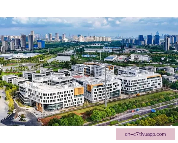 丰特：发展视听数字业务保市场运转